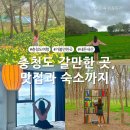 한진목장 | 5월 연휴 국내여행 충청도 1박 2일 여행 갈만한 곳 숙소 총정리