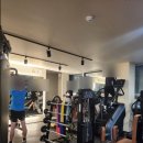 레코드 핏 이미지