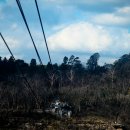 블루마운틴 이미지