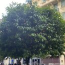 열매세탁소 이미지