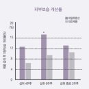 시티오아이스
