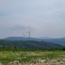 삼양목장 이미지