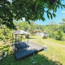 카페춘담 이미지