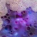 내가본세탁 이미지