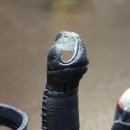 호구장식 이미지