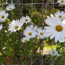 은비농장 이미지