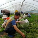 수원-2020 이미지