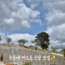 계향집