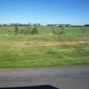 대평원목장 이미지