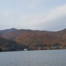 정관6로 이미지