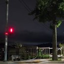 현주네집 | 유명한 현주네 실패 후기