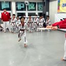 참태권도 이미지