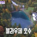 베른