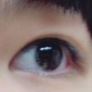아이토크(EYE TALK) 네이버블로그