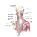 경희아침한의원 이미지