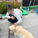 하죽여자 네이버블로그