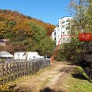 지축동 흥국사길 이미지