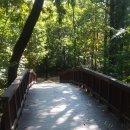 중랑캠핑숲 이미지