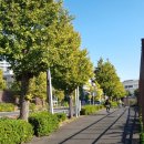 빨간구두 소녀상 | 도쿄 근교 요코하마 여행, 당일치기 여행(가볼만한 곳 추천, 빵집 투어, 차이나타운, 아카렌가 창고...