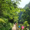 삼애교회 | 5월 광주 무등산 등산코스 (증심사입구 - 당산나무 - 중머리재 - 서인봉 - 새인봉)