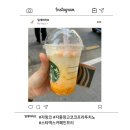 내돈내산 스타벅스 신메뉴 카페인프리 달달한 자몽망고 코코프라푸치노