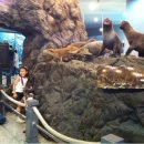 예지수산 이미지