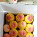 이화숙농장 이미지