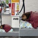 감동주유소 이미지