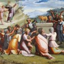 금송아지 이미지