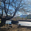 예당공원 이미지