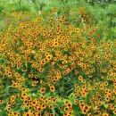 가평옛길 이미지