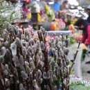 봉오리산업