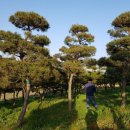 양괴리농장 이미지