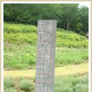 물레방아영양탕 | 2013.07.06 (토) 안산(서대문구)스케치^*^