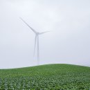 안반데기 목장 이미지