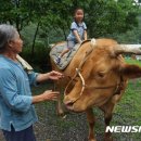 박철수농장 이미지