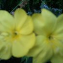 관광호텔앞 이미지