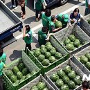 엄동경로당 이미지