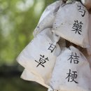 선진한의원 이미지