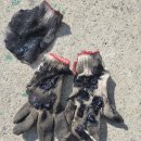 건국카클리닉 이미지