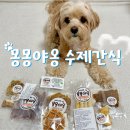 포장부터 기호성까지 완벽한 몽몽야옹 수제간식 후기