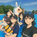 도그아이 | 원더풀 도그베이 안성 : 꿀벌 구명조끼와 함께한 애견동반 강아지수영장 리얼 후기⛱️