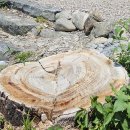 하촌농장 이미지