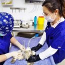 야호축산 이미지