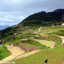 가천다랭이마을 이미지