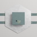 플래니즈