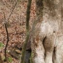 마곡사1 이미지