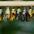 모전초등학교병설유치원 이미지