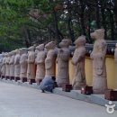 해동 Daum카페