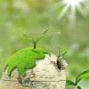 환경성질환 예방관리센터(비자림) 이미지